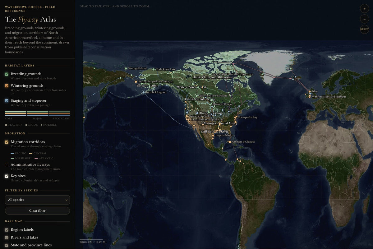 The Flyway Atlas showing habitat layers, key sites, and generalized migration corridors across North America.