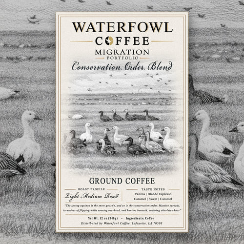 Conservation Order · Blonde Espresso (Blend)