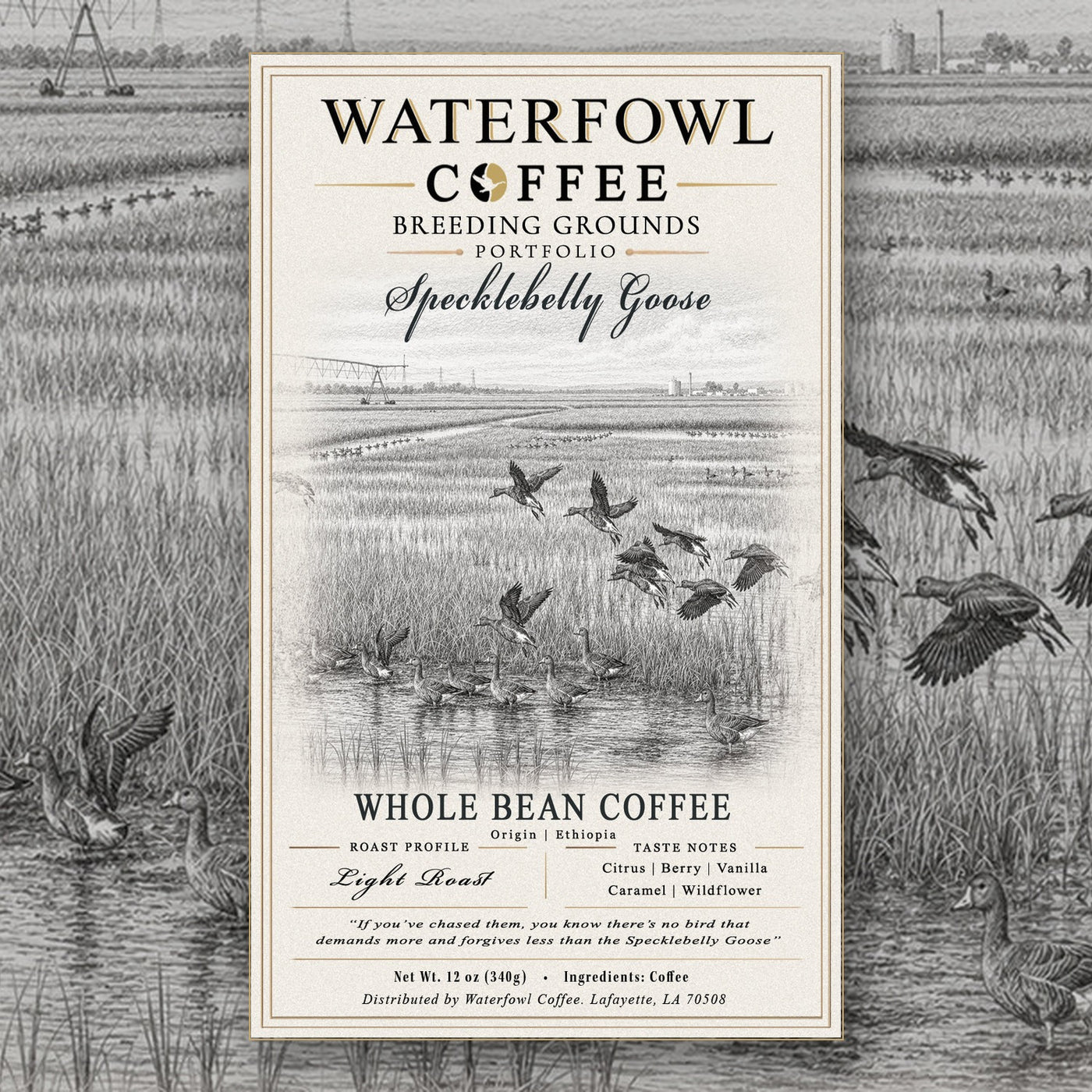 Specklebelly Goose Ethiopia Single Origin · 12 oz whole bean, label over artwork