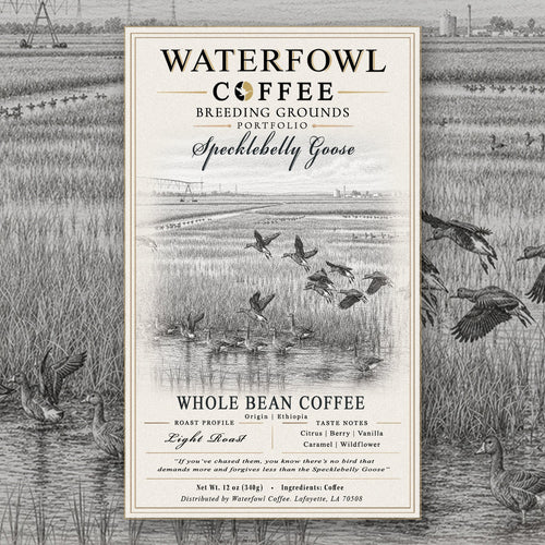 Specklebelly Goose Ethiopia Single Origin · 12 oz whole bean, label over artwork