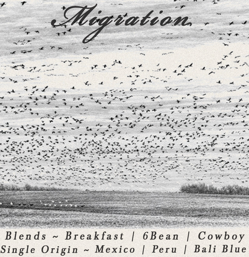 Migration
